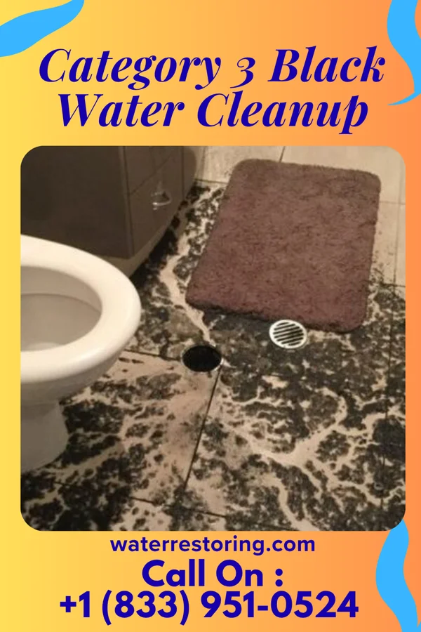 Category 3 Black Water Cleanup in Elba, MN